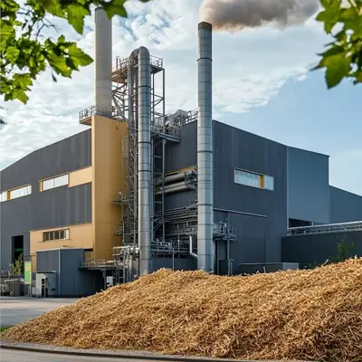 biomass-fuel-pellet-line