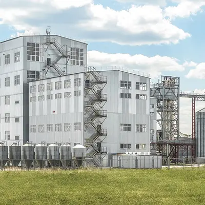 sheep-feed-production-line