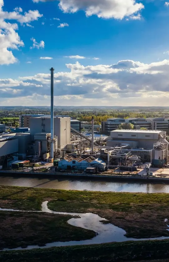 biomass pellet production line solution