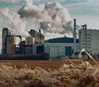 biomass pellet plant solutions