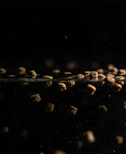 pellets