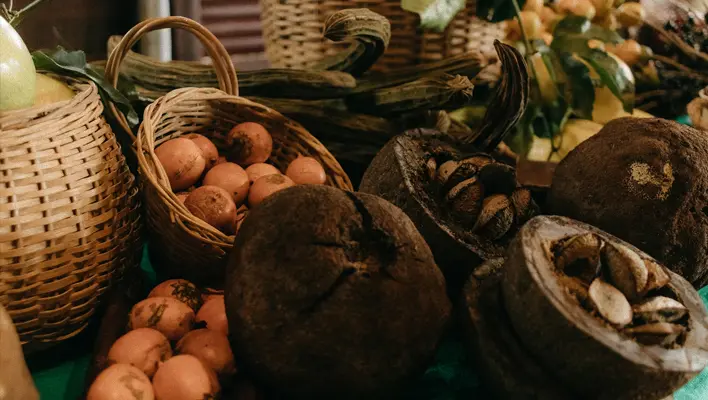 pelletizing from organic waste