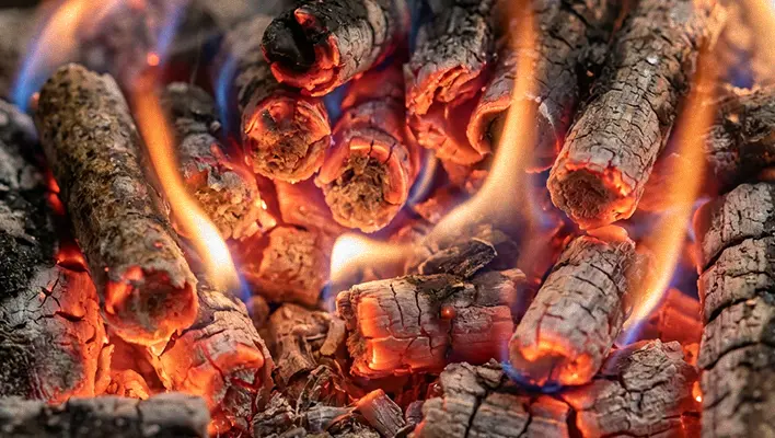 pelletizing from wooden material