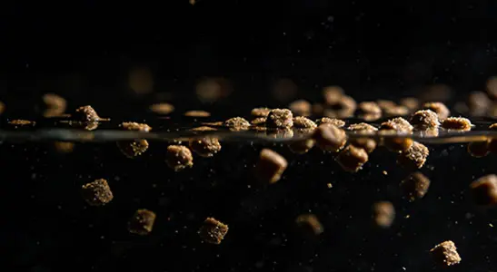 pellets