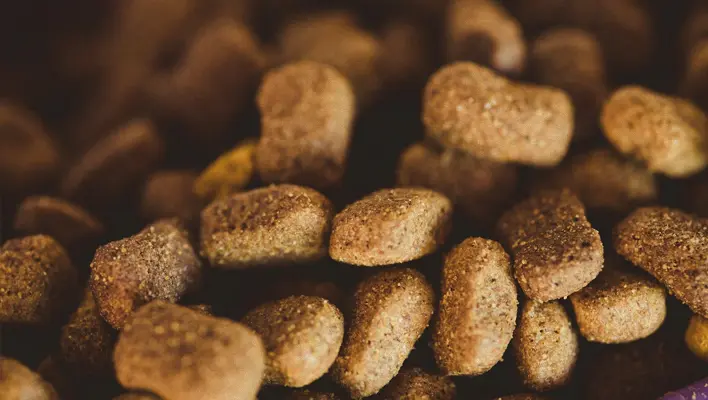 pet-food-pellet-production-line