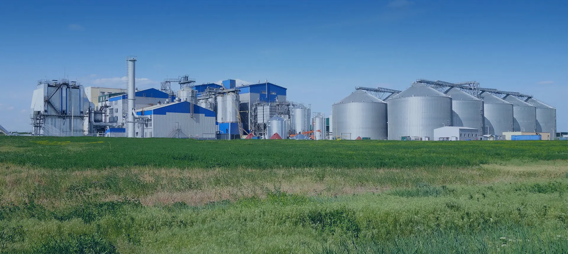 The 3-5T/H Poultry feed pellet line in Senegal
