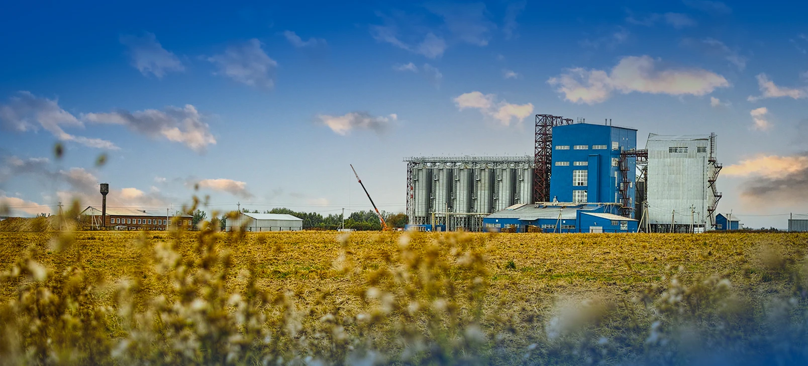 Animal Feed Pellet Production Line