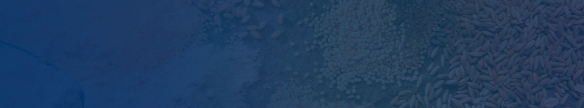 raw materials for pelletizing