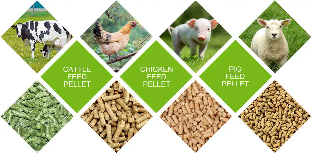 Application of Animal Feed Pellet Mill Equipment