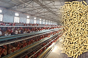 Линия по производству кормов для птиц