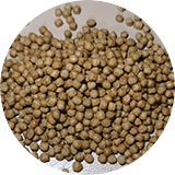 sturgeon pellet feed