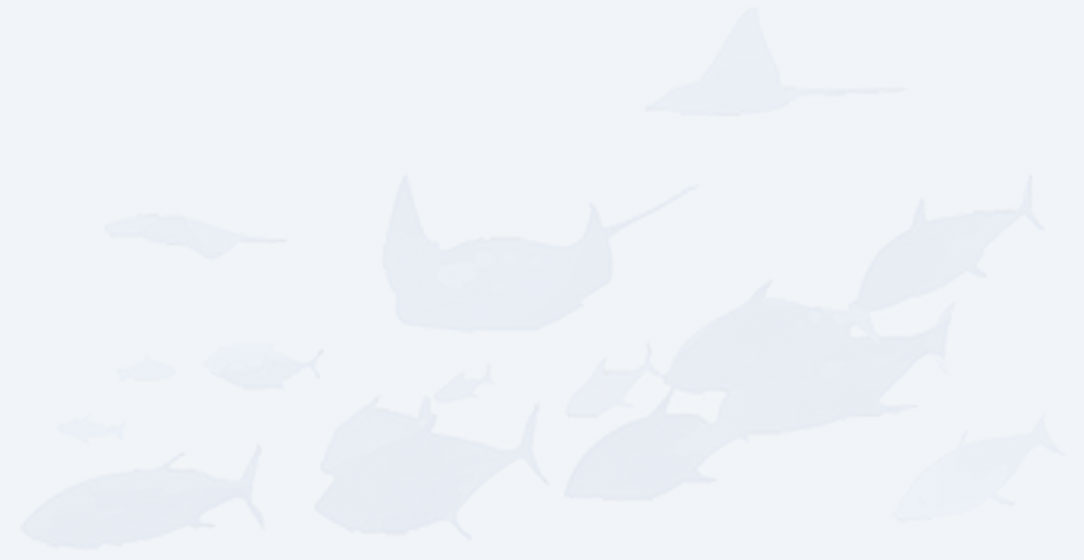 Equipment for the Production of Fish Feed