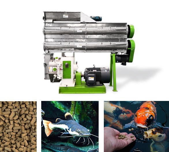 fish feed pellet machine