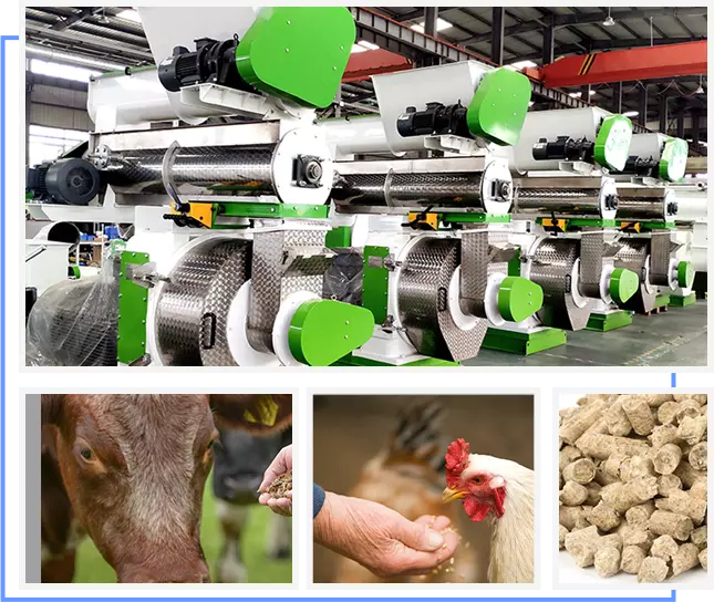 richi feed pellet machine