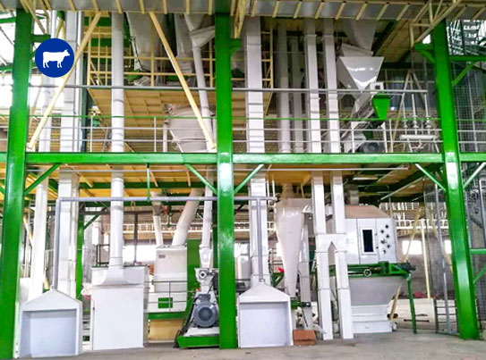Cattle Feed Pellet Production Line