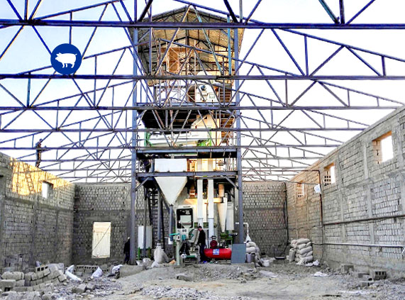 Pig Feed Pellet Production Line