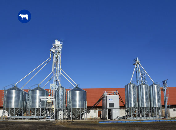Poultry Feed Pellet Production Line