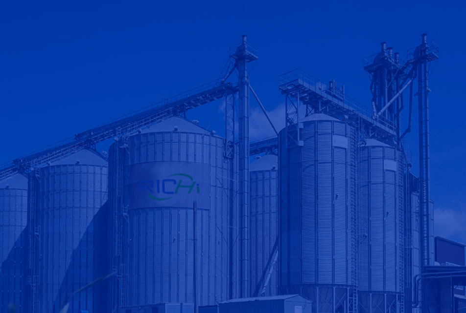 Turnkey Feed Pellet Production Line