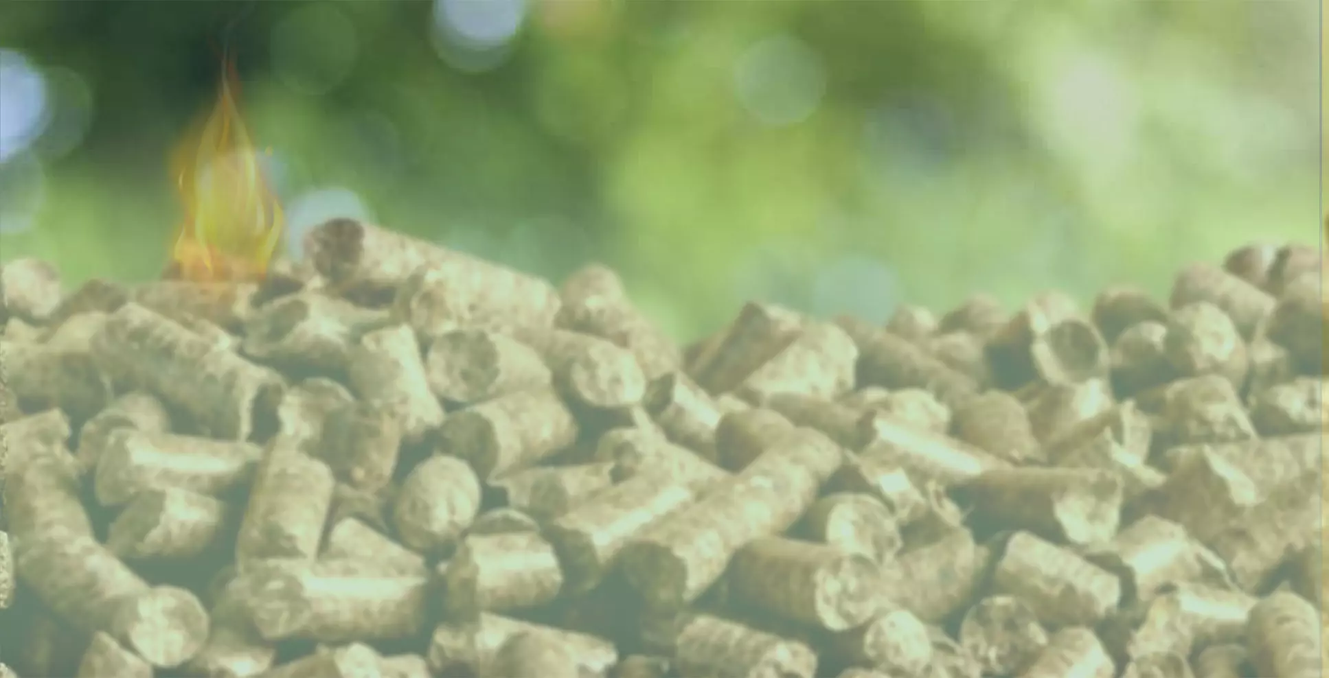 wood pellet