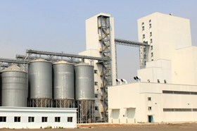 RICHI Feed Production Line